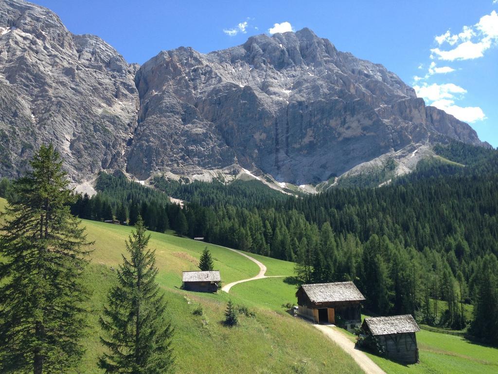 Ciasa Raut Apartment Wengen