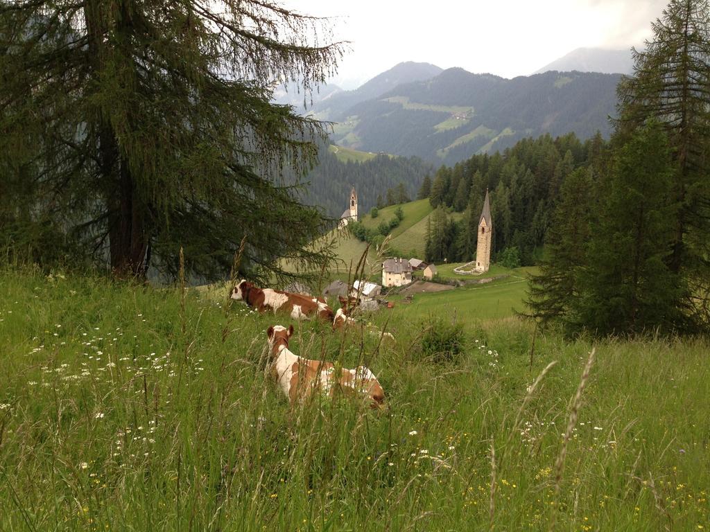 Ciasa Raut La Valle