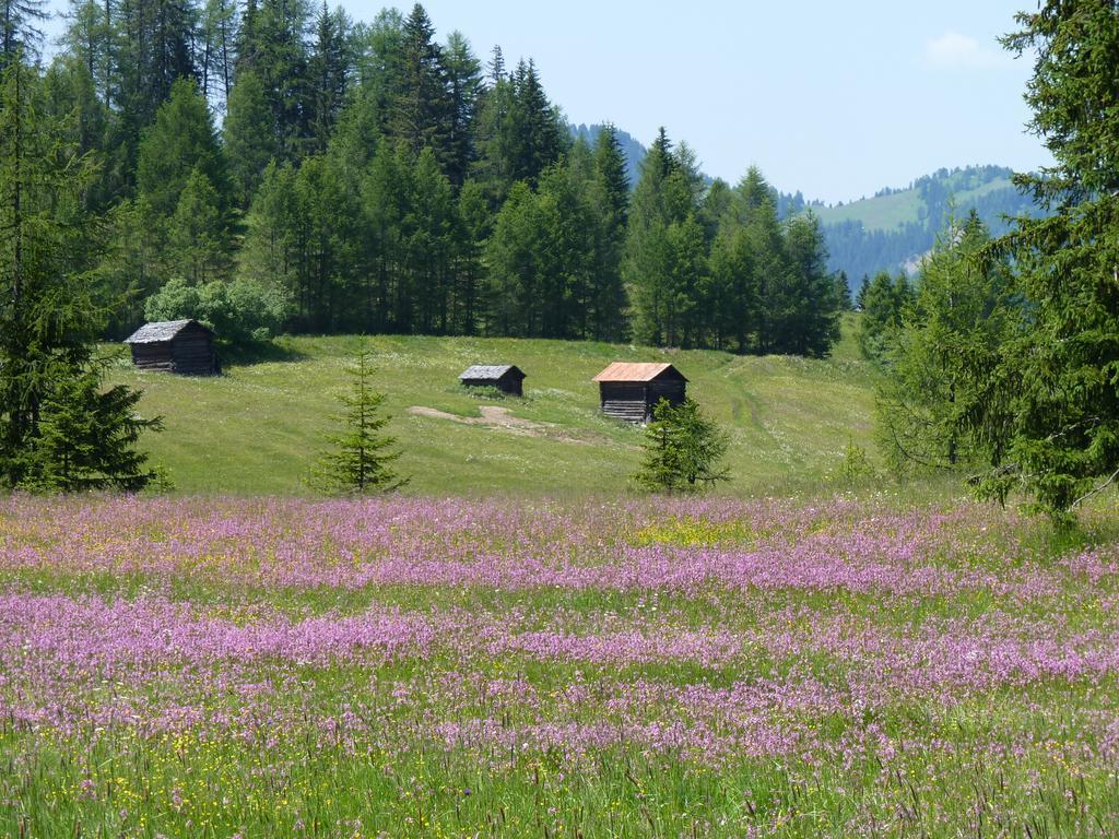 Ciasa Raut * La Valle